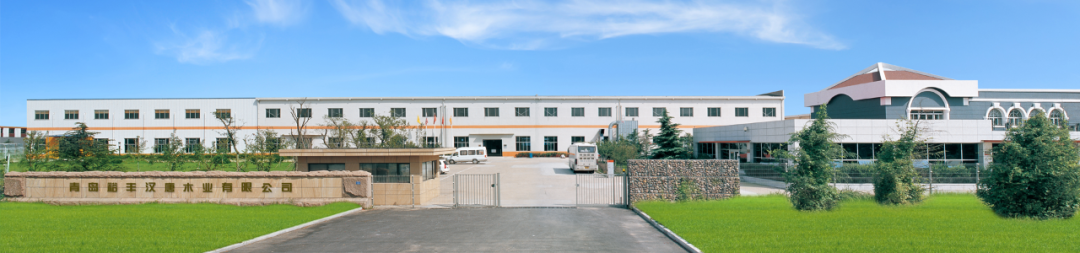 1693212530857144.png 綠色5640.png